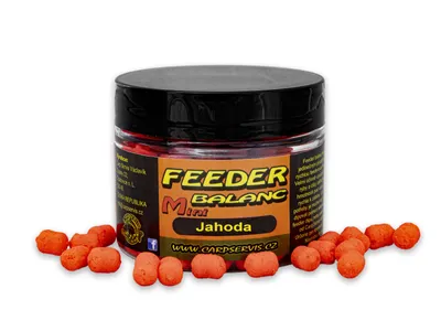 Zdjęcie produktu dla Carp Servis Václavík Feeder Balanc MINI 45 g 6x8mm yachtoda