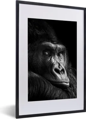 Produktbild von MuchoWow® Gerahmtes Poster Gorilla - Affe - Schwarz - Weiß - Porträt 40x60 cm - Poster mit Schwarzem Bilderrahmen Wandposter Rahmen Foto Bilder - Poster in Rahmen
