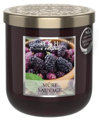 Sojawachs-Duftkerze Wild Blackberry, 30 Std., Glas