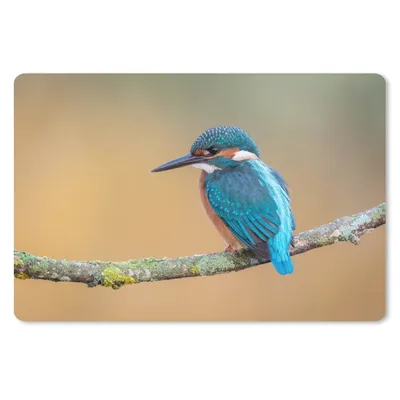 Produktbild von MuchoWow® Schreibtischunterlage Vogel - Eisvogel - Tiere - Zweig 60x40 cm - XXL Mauspad - Großes Mauspad