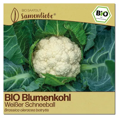 Produktbild von Samenliebe  Blumenkohl Samen | Weißer Schneeball - weiß & groß - samenfestes  Saatgut