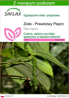 Zdjęcie produktu dla SAFLAX - Zioła - Prawdziwy Pieprz - 20 Nasiona - Z podłożem uprawowym wolnym od zarazków - Piper nigrum