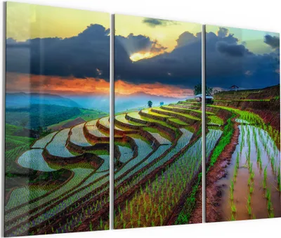 Produktbild von DEQORI Glasbild Echtglas 3x50x100 cm 'Reisterrassenfelder' Wandbilder XXL groß