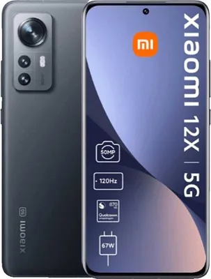 Produktbild von Xiaomi 12X 8/128GB Grau