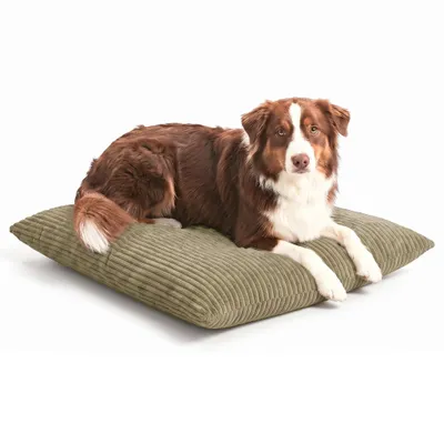 Produktbild von 4L Textil MOLLY Hundekissen aus Cord, wendbares Hundebett, abnehmbarer waschbarer Bezug, für kleine und mittelgroße Hunde, 80x60 cm, Olivgrün