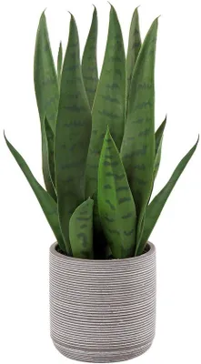 Produktbild von Kunststoffpflanze, dekorativ, 40 cm, in Zementtopf