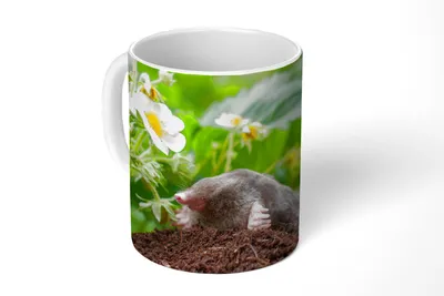 Produktbild von KitchenYeah® Tasse Kaffeetasse Kaffeebecher 350 ml Tier - Garten - Maulwurf Teetasse - Fototasse - Becher - Keramikbecher - Teebecher - Kaffeetasse - Bürotasse