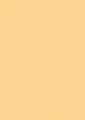 Produktbild von Irisette Mako-Jersey Spannbetttuch Jupiter 0008  Farbe honig Größe  190 x 200 cm