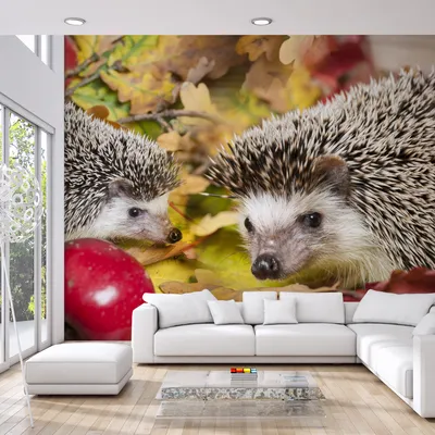 Produktbild von Muralo XXL Selbstklebende FOTOTAPETE IGEL Tiere 3D Effekt (B) 90 cm x (H) 60 cm Tapete Wandtapete WOHNZIMMER SCHLAFZIMMER 5157