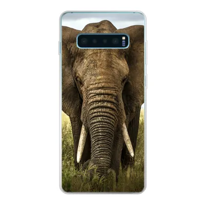 Produktbild von MuchoWow® Handyhülle Schutzhülle Hülle für Samsung Galaxy S10 Plus Elefant - Natur - Gras - Tiere - Landschaft Silikon Softcase Handy Hülle - Schutzhülle
