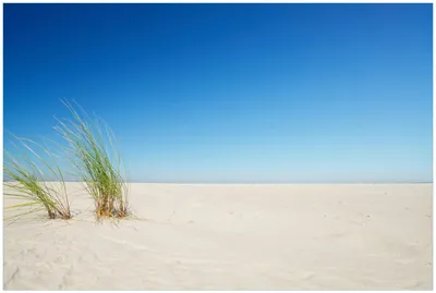Produktbild von Wallario Premium Glasbild, freischwebende Optik, kräftige Farben, Größe 90 x 60 cm Motiv Sandstrand unter blauem Himmel
