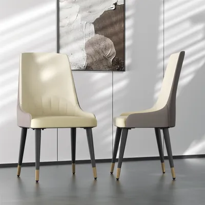 Immagine prodotto di Set di 2 sedie da pranzo WISFOR, sedia da cucina imbottita con gambe in metallo, bianco crema+grigio