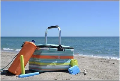 Produktbild von Famanu Picknickkorb 20L Blau - Ideal für sommerliche Ausflüge