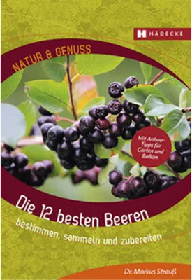 Produktbild von Die 12 besten Beeren