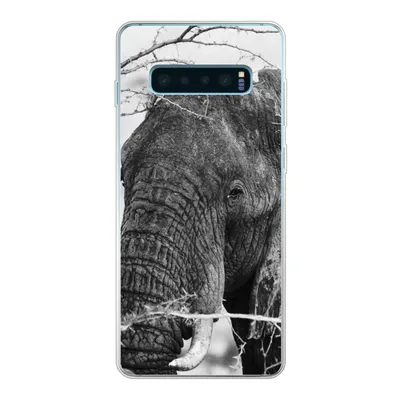 Produktbild von MuchoWow® Handyhülle Schutzhülle Hülle für Samsung Galaxy S10 Lite Elefant - Tiere - Äste - Natur - Schwarz und weiß Silikon Softcase Handy Hülle - Schutz