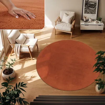 A circular rug in a living room setting with furniture and plants.
