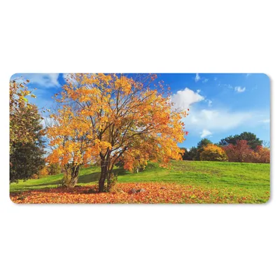 Produktbild von MuchoWow® Mauspad Mousepad Baum - Blätter - Herbst - Jahreszeiten 60x30 cm - Mousepads - Maus Mat - Pad - Mausunterlage - Nachhaltig