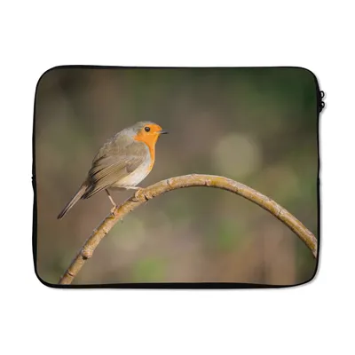 Produktbild von MuchoWow® Laptop Hülle 15 Zoll Rotkehlchen - Vogel - Natur Laptoptasche - Laptoptasche - Sleeve - Rundum-Schutz