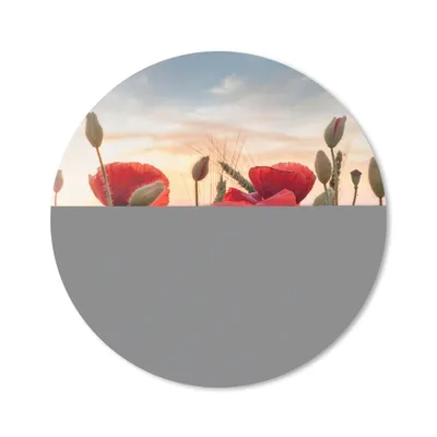 Produktbild von MuchoWow® Mauspad Mousepad Sonnenuntergang hinter den schönen Mohnblumen 30x30 cm - Mousepads - Maus Mat - Pad - Mausunterlage - Tischunterlage - Schreibtischmatten