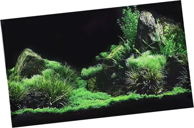Obrázek produktu pro Akvarijní ryby nádrž mořské dno voda tráva pozadí dekorace malování PVC samolepka (61 x 40 cm )