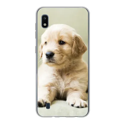 Produktbild von MuchoWow® Handyhülle Schutzhülle Hülle für Samsung Galaxy A10 Golden Retriever Welpe auf dem Sofa liegend Silikon Softcase Handy Hülle - Schutzhülle