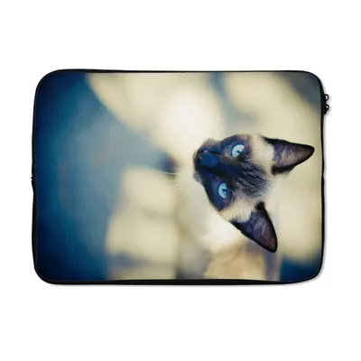 Produktbild von MuchoWow® Laptop Hülle 13 Zoll Eine siamesische Katze von oben Laptoptasche - Laptophülle - Sleeve - Rundumschutz