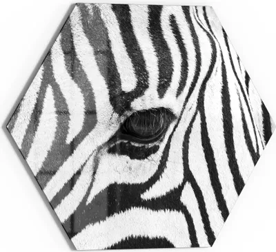 Produktbild von DEQORI Glasbild Echtglas 40x35 cm 'Blick der Wildnis' Wandbild Bild modern Deko
