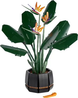 Produktbild von LEGO 10289 Icons Paradiesvogelblume, künstliche Pflanzen und Blumen, Set für Erwachsene