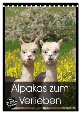 Produktbild von Alpakas zum Verlieben (Tischkalender 2027 DIN A5 hoch), CALVENDO Monatskalender
