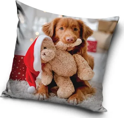 Produktbild von Weihnachtskissenbezug 40x40 Samt Hund