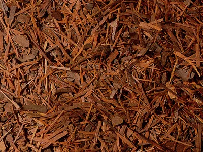 Produktbild von 1 kg  Lapacho Tee