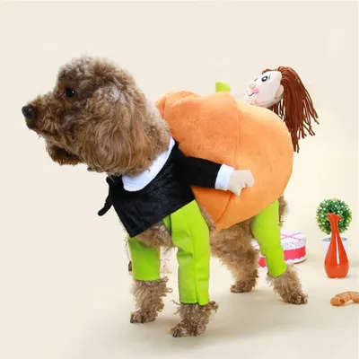 Immagine prodotto di Costume da cane, costume da gatto, vestiti da cane, vestiti da gatto, vestito da cane per Halloween