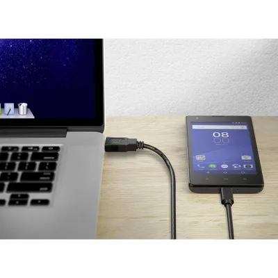 Productafbeelding van Renkforce USB-kabel, USB 2.0, USB-A stekker, USB-C® stekker, 1,50 meter, zwart, vergulde connectoren, modelnummer RF-4288950