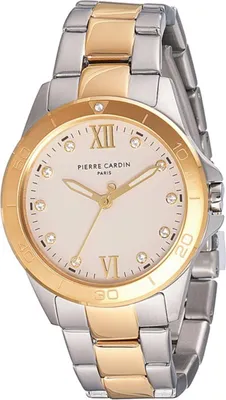 Immagine prodotto di Orologi Pierre Cardin cf1009mu