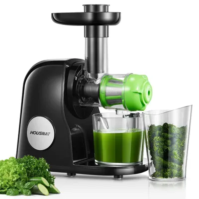 Produktbild von HOUSNAT Entsafter Slow Juicer mit leisem Motor Umkehrfunktion und 2 Filtern