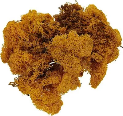 Immagine prodotto di Materiale decorativo in plastica naturale - Plastica naturale gialla - 50 g