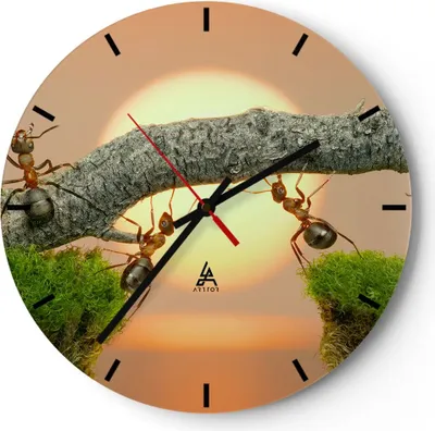 Produktbild von Wanduhr - Rund - Glasuhr - Tiere Ameisen Brücke Natur - 30x30cm - Schleichendes Uhrwerk - Lautlos - zum Aufhängen bereit - Dekoration Modern - Wanddekoration aus Glas - C3AR30x30-2104