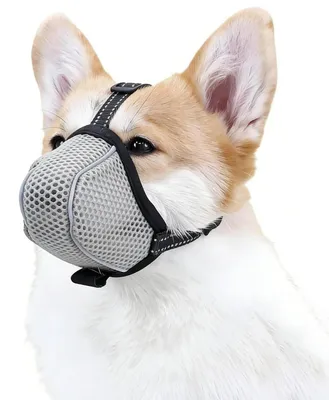 Image de Panier de transport pour chiens, respirant, réfléchissant, réglable, en mesh, de couleur grise, taille M