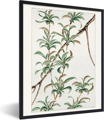 Produktbild von MuchoWow® Gerahmtes Poster Dschungel - Japanisch - Vintage 60x80 cm - Poster mit Schwarzem Bilderrahmen Wandposter Rahmen Foto Bilder - Premium - Wanddeko Wohnzimmer