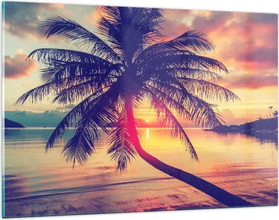 Produktbild von Bilder auf glas - Meer Strand Palme - 120x80cm - Glasbilder - Wandbilder - Kunstdruck - zum Aufhängen bereit - Wanddekoration aus Glas - Glas Bilder - Wandbild auf Glas - Einteilig - GAA120x80-3925