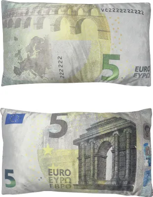 Obrázek produktu pro Dekorační polštář bankovka 5 Eur 30x50cm