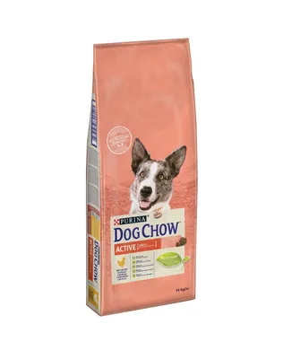 Productafbeelding van Purina DOG CHOW Active Adult, Volwassen hond, Kip, 14 kg