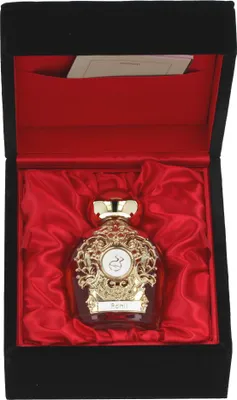 Produktbild von Parfüm Unisex Tiziana Terenzi Adhil Absolute 100 ml