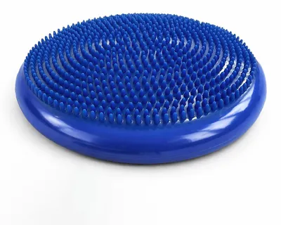 Image de Coussin sensoriel Wozinsky WPSD-01 pour la rééducation Hérisson - bleu