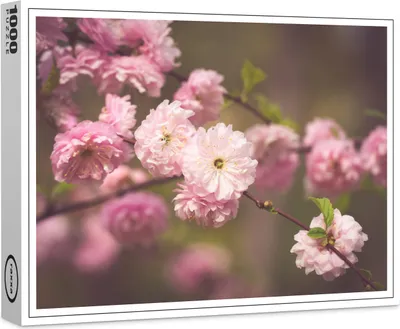 Produktbild von raxxa Premium-Puzzle "Baumblüten", 1000 Teile