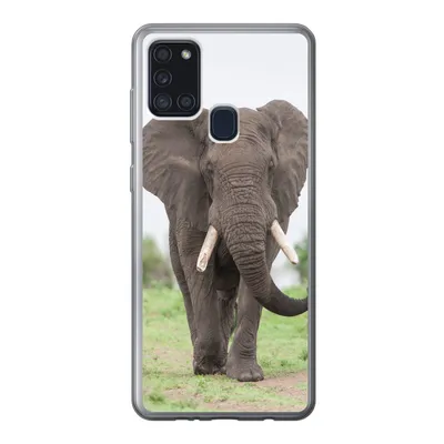 Produktbild von MuchoWow® Handyhülle Schutzhülle Hülle für Samsung Galaxy A21s Elefant - Tiere - Gras - Natur Silikon Softcase Handy Hülle - Hartschale