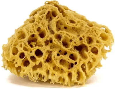 Obrázek produktu pro Houba do koupele - přírodní mořská - velikost S. 10-12cm