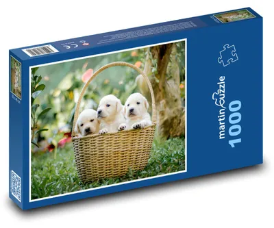 Zdjęcie produktu dla martinpuzzle - Puzzle 1000 elementów - Szczenięta w koszyku