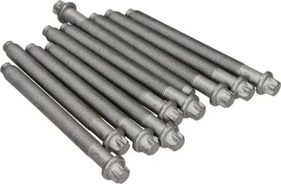 Zdjęcie produktu dla Zestaw śrub głowicy cylindrów REINZ 14-32146-01