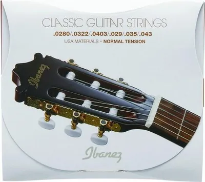Obrázok produktu pre Ibanez ICLS6NT